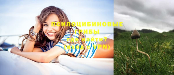 mdpv Кукмор