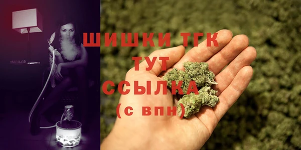 гашик Ладушкин