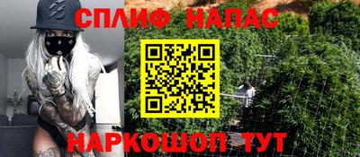 СК Донской