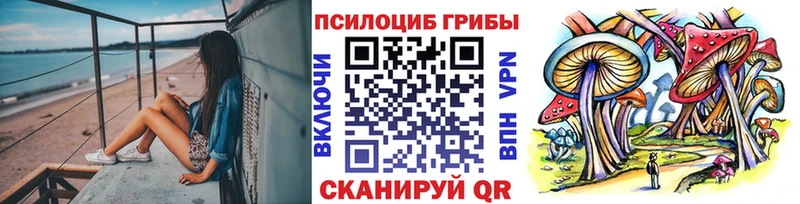 ссылка на мегу   Нальчик  Псилоцибиновые грибы Psilocybe  купить наркотик 