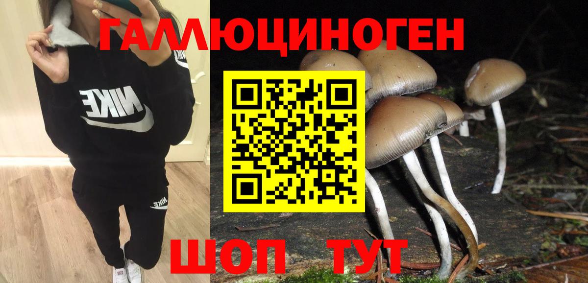 Нальчик  Псилоцибиновые грибы MAGIC MUSHROOMS  Вход с VPN  Псилоцибиновые грибы мицелий 